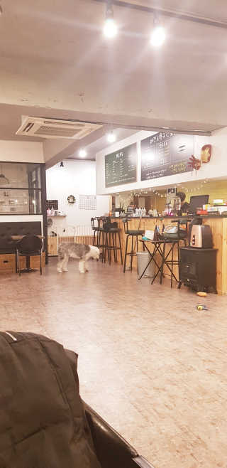 아그네스님이 올린 리뷰 사진 4