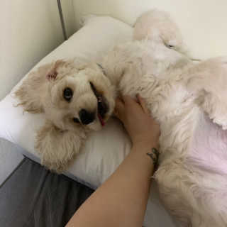 Ghhryh님이 올린 리뷰 사진 3