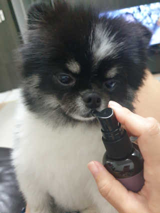 몽실맘님이 올린 리뷰 사진 1