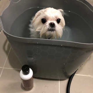율리킴님이 올린 리뷰 사진 2