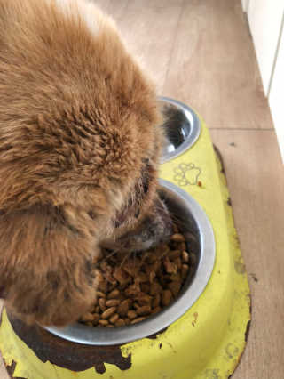 윤혜진님이 올린 리뷰 사진 4