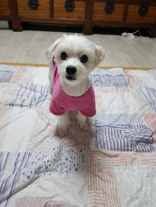 Yehi님이 올린 리뷰 사진 3