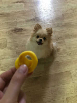 보미마미님이 올린 리뷰 사진 4