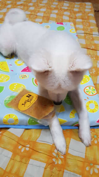 블리블리♡은블리♡님이 올린 리뷰 사진 2