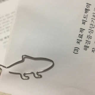 꼰똘잉님이 올린 리뷰 사진 3
