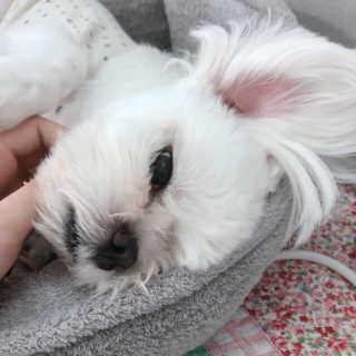 seungju님이 올린 리뷰 사진 4