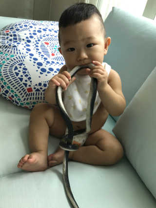 쪼이마미님이 올린 리뷰 사진 3