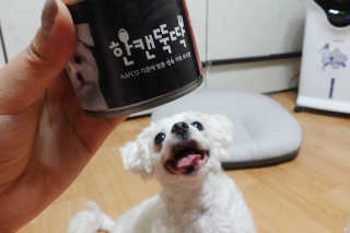 [펫토리아] 한캔뚝딱 강아지 주식캔 12종 콤보 — 5점을 준 리뷰어가 2019년 8월 올린 사용 사진