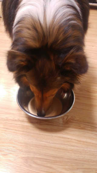 ju님이 올린 리뷰 사진 2