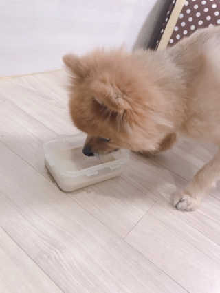 베베루님이 올린 리뷰 사진 3