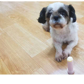 황은희님이 올린 리뷰 사진 1