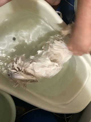 혜랑님이 올린 리뷰 사진 2