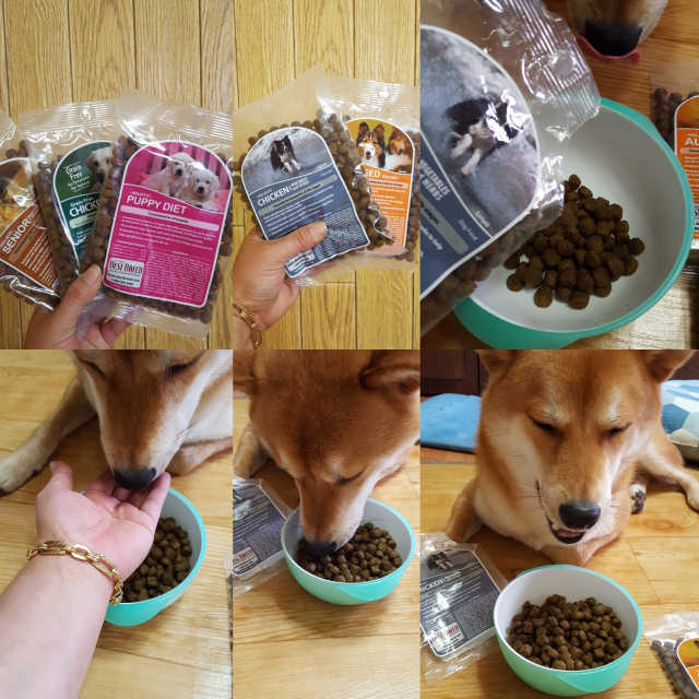 베스트브리드 사료 리뷰 사진