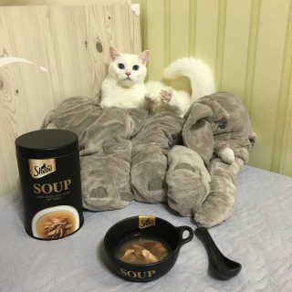 슨비님이 올린 리뷰 사진 1