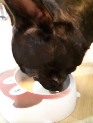 토르맘님이 올린 리뷰 사진 4