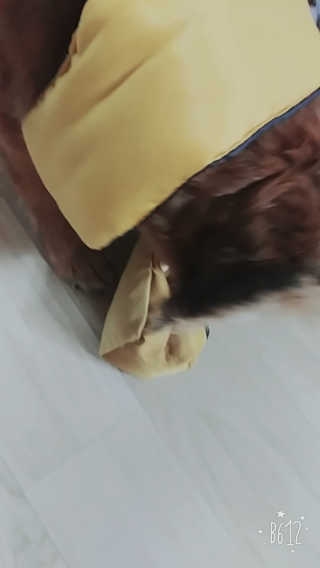 조태현님이 올린 리뷰 사진 3