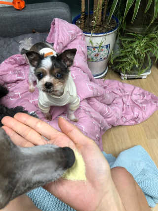 정봐기린님이 올린 리뷰 사진 4