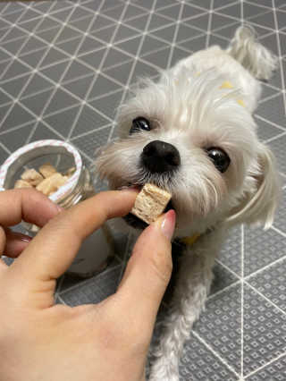당근님이 올린 리뷰 사진 2