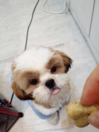 도도님이 올린 리뷰 사진 4