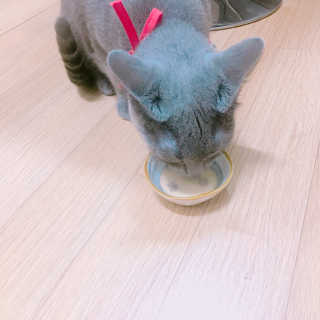율집사님이 올린 리뷰 사진 4