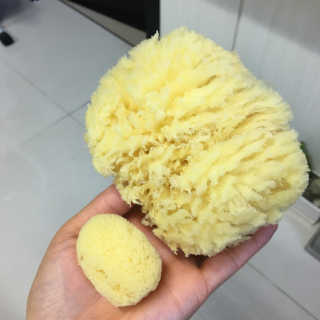 룰라러브 모공관리 끝 지중해산 천연해면 바디스펀지 — 5점을 준 리뷰어가 2018년 4월 올린 사용 사진