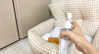 [펫토리아]살균뚝딱 강아지 고양이 살균소독제 탈취제 — 5점을 준 리뷰어가 2020년 3월 올린 사용 사진