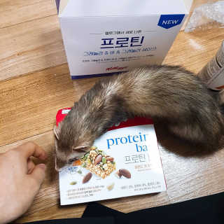 켈로그 프로틴바 멀티팩+프로틴 그래놀라 쉐이크 2종 — 4점을 준 리뷰어가 2020년 1월 올린 사용 사진