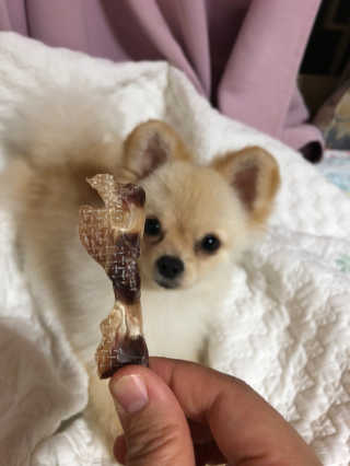 김다경님이 올린 리뷰 사진 2