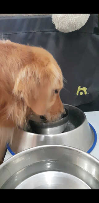 콩가루님이 올린 리뷰 사진 1