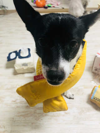 꿀주야님이 올린 리뷰 사진 4