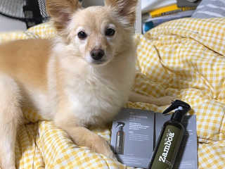 디디쿠님이 올린 리뷰 사진 2