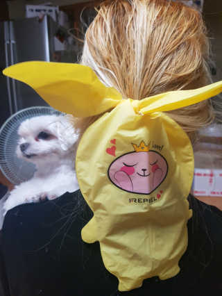뽀오오옹님이 올린 리뷰 사진 1