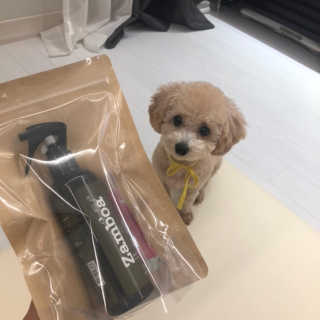 모모님이 올린 리뷰 사진 2