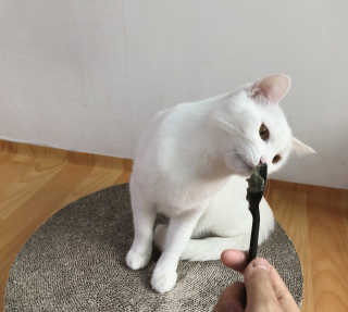 수카님이 올린 리뷰 사진 1
