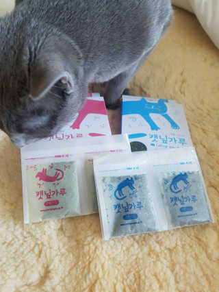 숑이숑숑님이 올린 리뷰 사진 2