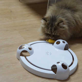 쏘e님이 올린 리뷰 사진 1