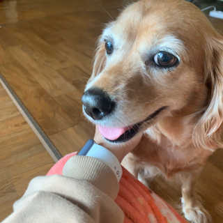 초오기님이 올린 리뷰 사진 3