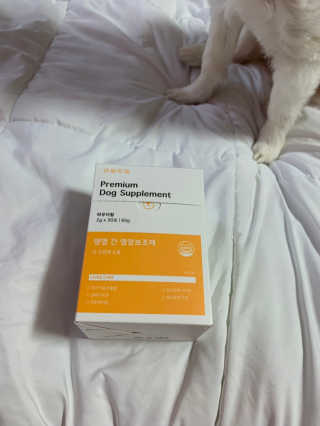 어거스트비님이 올린 리뷰 사진 1