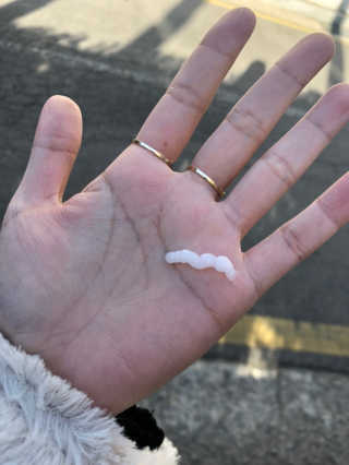 초밥님이 올린 리뷰 사진 3