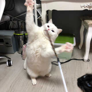 도요님이 올린 리뷰 사진 1