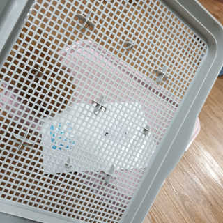 은찡님이 올린 리뷰 사진 3