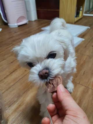 뽀오오옹님이 올린 리뷰 사진 3