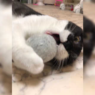 째콩이네님이 올린 리뷰 사진 3