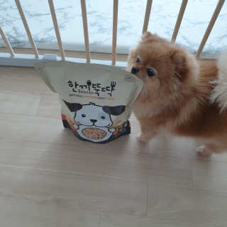 [펫토리아] 맛도 영양도 BEST 한끼뚝딱 강아지 사료 — 5점을 준 리뷰어가 2019년 4월 올린 사용 사진