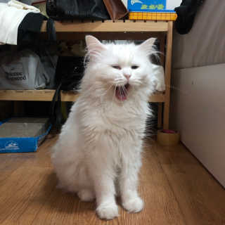 례진님이 올린 리뷰 사진 3