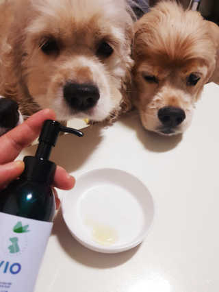 콜보리님이 올린 리뷰 사진 1
