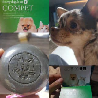 모모랜드님이 올린 리뷰 사진 1