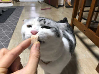 cobemom님이 올린 리뷰 사진 1