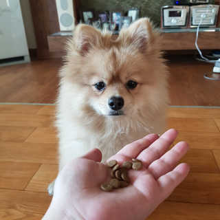 cocoococo님이 올린 리뷰 사진 3