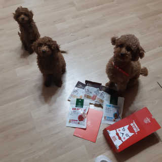 seni님이 올린 리뷰 사진 2